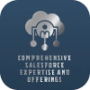 Comprehensive Salesforce Expertise and Offerings