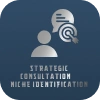 Strategic Consultation & Niche Identification